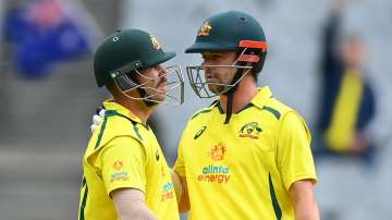 David Warner and Travis Head came out all guns blazing against South Africa in the second ODI