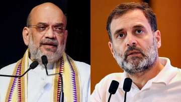 Union Home Minister Amit Shah and Congress leader Rahul Gandhi