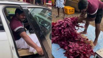A farmer was seen driving a luxurious car to a roadside market to sell spinach. 