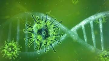 Nipah Virus cases rise in Kerala