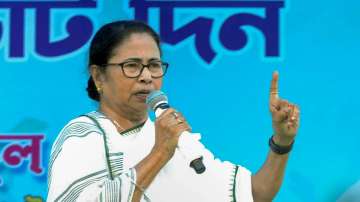 Mamata Banerjee speaks on ongoing row over 'Sanatana Dharma'