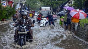 Maharashtra weather update, Maharashtra weather, IMD Yellow Green alert, Maharashtra weather, foreca