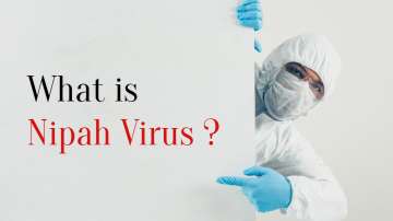 What is Nipah Virus?