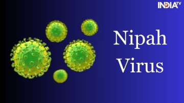 Nipah Virus, Kerala govt, Schools closed