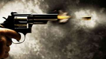 Maharashtra man shoots wife dead 