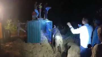 Forest officials rescue blind gaur, VIDEO of blind gaur being rescued, open well in Maharashtra, wat