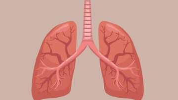 Ayurvedic diet tips for healthy lungs