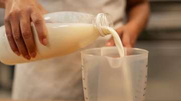 adulterated milk 