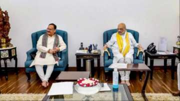 Union Home Minister Amit Shah and BJP chief JP Nadda 