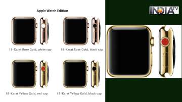 Apple watch, apple inc, apple watch 