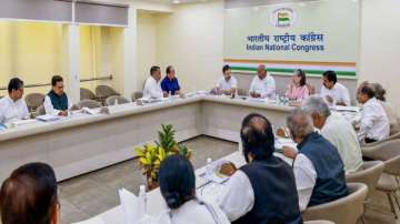 Congress President Mallikarjun Kharge with party leaders Sonia Gandhi, Rahul Gandhi and other leaders during the Congress Central Election Committee. 