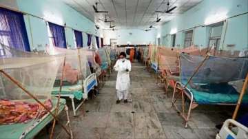 Dengue situation WORSENS in Noida