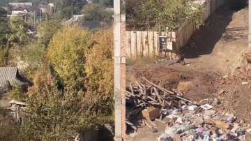 Dog jumps from a high rise building, later walks away easily 