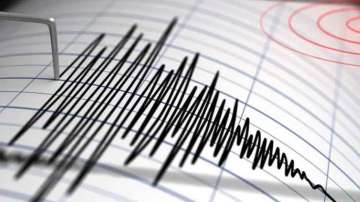 Earthquake of magnitude 4 hits Uttarakhand 