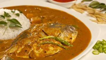 Fish curry-rice
