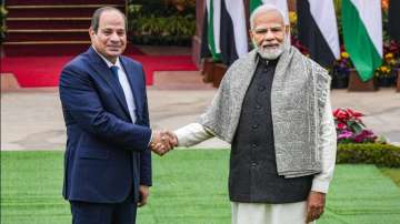 Prime Minister Narendra Modi with Egyptian President Abdel Fattah El-Sisi 