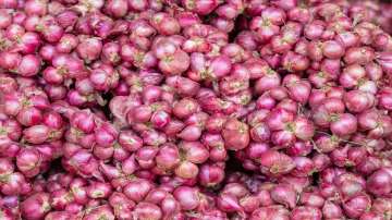 Onion prices on the rise