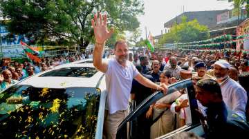 Congress leader Rahul Gandhi waves at supporters during a rally.