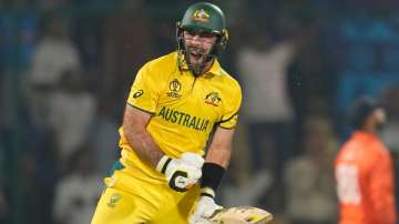 Glenn Maxwell celebrates after scoring the fastest ODI World Cup ton.