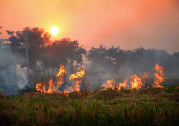 Stubble burning in Punjab