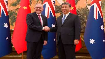 Australian Prime Minister Anthony Albanese meets Chinese President Xi Jinping in Beijing.