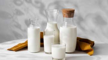 Cow Milk vs Buffalo Milk: Which is better for health?