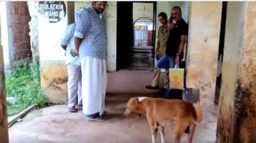 Hospital staff said that the faithful dog now lives in Kannur mortuary and it was very good in terms