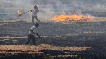 Supreme Court, Delhi air pollution, Punjab govt, stubble burning