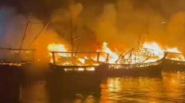 Boats gutted in fire
