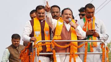 BJP National President JP Nadda with BJP State President VD Sharma during a roadshow ahead of the upcoming Madhya Pradesh Assembly elections, at Tyonthar in Rewa district.