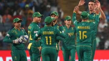South African team celebrating a wicket.