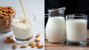 almond vs regular milk