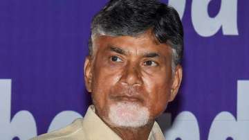 Former CM N Chandrababu Naidu 