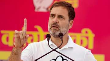 Congress leader Rahul Gandhi addresses a public meeting at Nadbai, in Bharatpur district