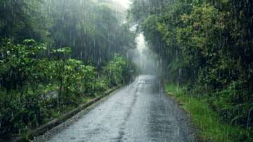 Tamil Nadu, Tamil Nadu rains, Tamil Nadu rainfall, Chennai rains
