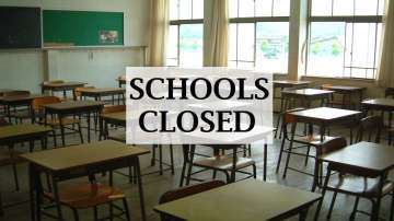 Tamil Nadu rains, tamil nadu schools closed, tamil nadu school holiday,