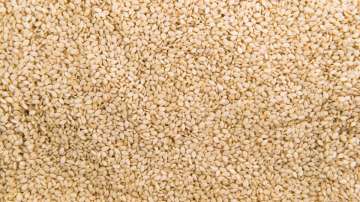 Superfood Sesame Seeds