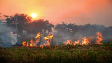 Stubble burning, Supreme Court, farmers