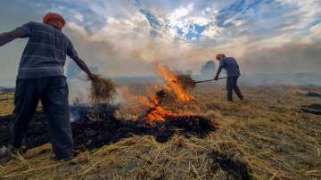 Punjab, Stubble burning in Punjab, Farmers, NGT