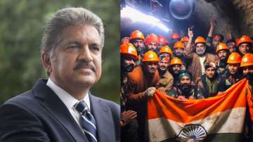 Uttarkashi tunnel collapse, Rescue team, Anand Mahindra, Trending news 