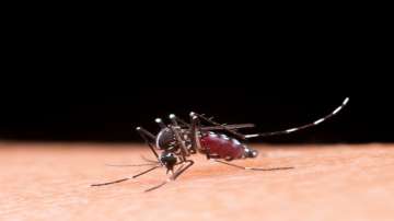 Zika virus near Bengaluru