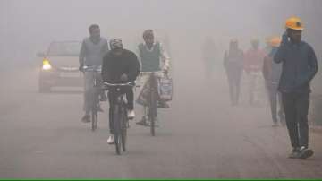 Delhi fog, IMD
