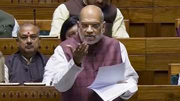 Union Minister Amit Shah speaks in Lok Sabha during Parliament's winter session.