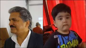 Industrialist Anand Mahindra reacts to Noida kid's video on purchasing Thar for Rs 700.