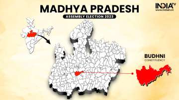 Budhni Assembly Election Result, Madhya Pradesh Election Results 2023 