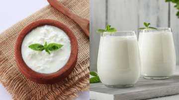 curd vs buttermilk