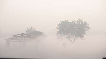 up fog news, Uttar Pradesh State Road Transport Corporation, up fog, up fog meaning, up fog light, u