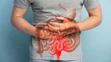 gut health