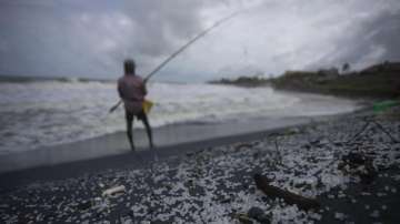 Indian fisherman arrested in sri lanka 