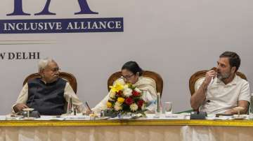 I.N.D.I.A. bloc leaders Nitish Kumar, Mamata Banerjee and Rahul Gandhi during alliance meeting. (File)